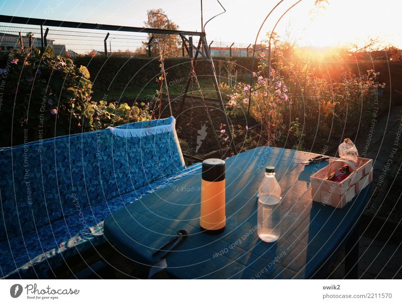 Abends im Garten Tisch Hollywoodschaukel Schaukel Kneifzange Gartenschere Umwelt Herbst Schönes Wetter Pflanze Baum Sträucher Rose Haus Thermoskanne Flasche