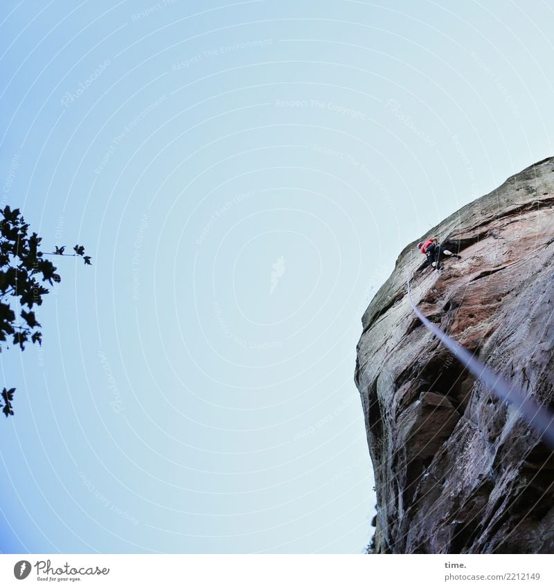 Seilschafter Sport Fitness Sport-Training Klettern Bergsteigen maskulin Mann Erwachsene 1 Mensch Himmel Schönes Wetter Felsen hoch Abenteuer Bewegung erleben