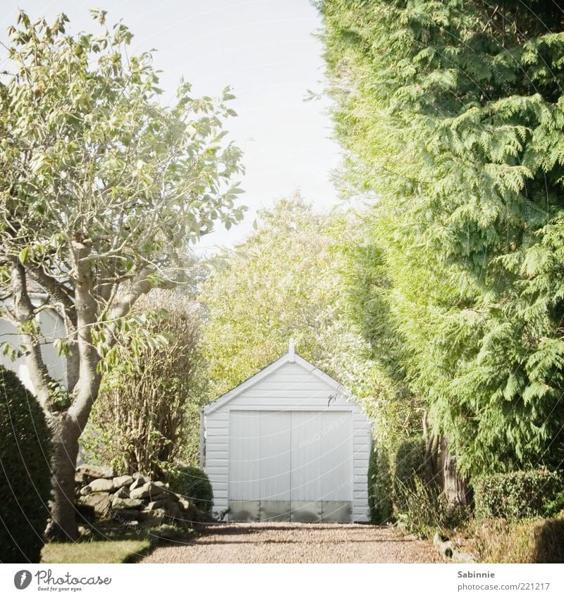 Gärätsch Häusliches Leben Haus Garage Garagentor Sommer Schönes Wetter Pflanze Baum Gras Sträucher Grünpflanze Nutzpflanze Garten Aberdeen Schottland Dorf