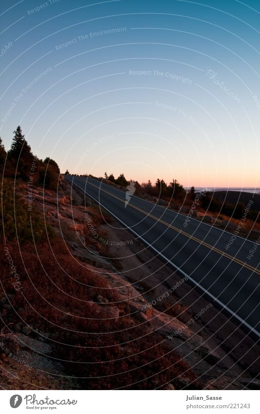 Straße im Sonnenuntergang Umwelt Natur Landschaft Pflanze Urelemente Erde Sand Luft Himmel Wolkenloser Himmel Sonnenaufgang Sonnenlicht Herbst Zufriedenheit