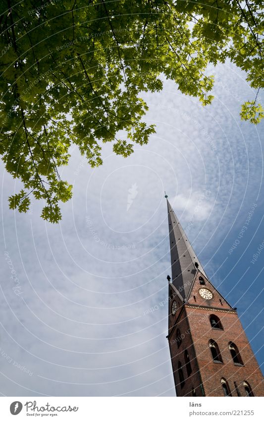 aus ruhig Himmel Wolken Blatt Kirche Denken nachdenklich Außenaufnahme Menschenleer Textfreiraum unten Textfreiraum links Zweige u. Äste Kirchturm