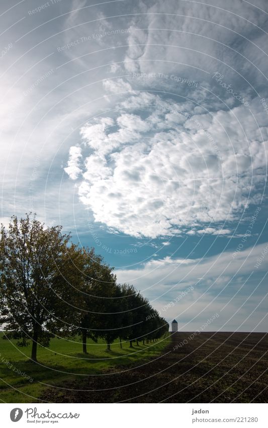 wegmarken. Ferien & Urlaub & Reisen Ausflug Landschaft Wolken Herbst Baum Feld Hügel Turm Erholung Unendlichkeit ästhetisch Umwelt Wasserturm Landwirtschaft