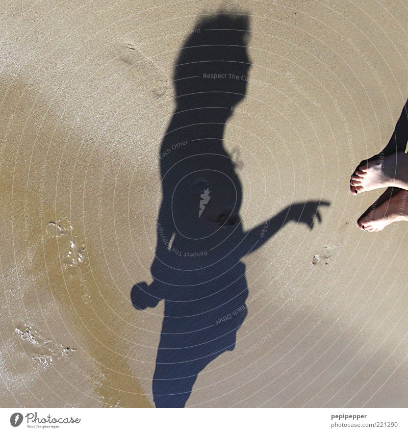 bläck fööss Ferien & Urlaub & Reisen Tourismus Sommer Sommerurlaub Strand Meer Insel feminin Frau Erwachsene 1 Mensch Sonnenlicht Sand stehen schatten