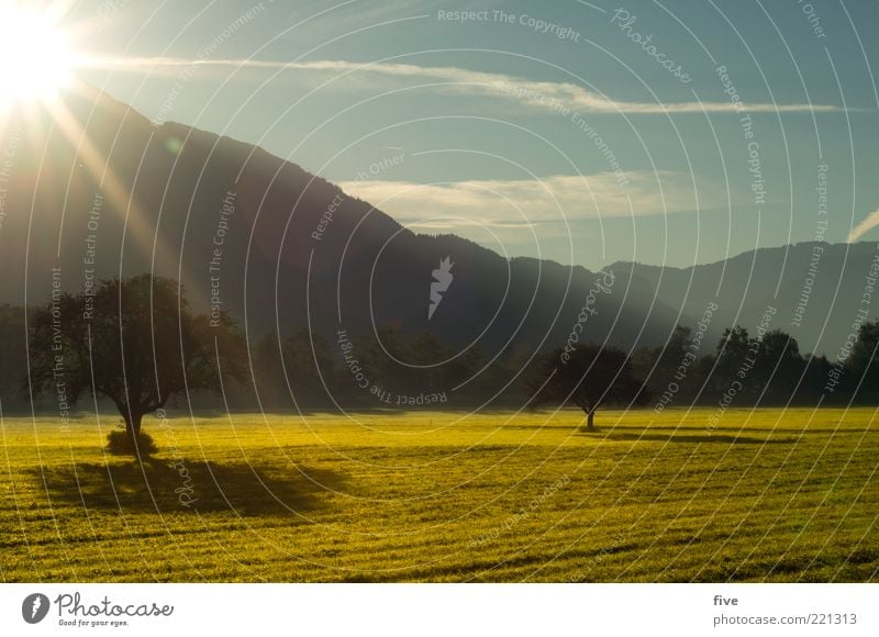 morgensonne Natur Landschaft Erde Himmel Wolken Sonne Sonnenaufgang Sonnenuntergang Sonnenlicht Herbst Schönes Wetter Pflanze Baum Wiese Feld Wald Hügel