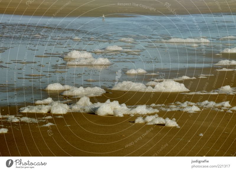 Strandwolken Umwelt Natur Sand Wasser Küste Nordsee Meer außergewöhnlich nass natürlich Stimmung Schaum Gischt Farbfoto Gedeckte Farben Menschenleer Tag