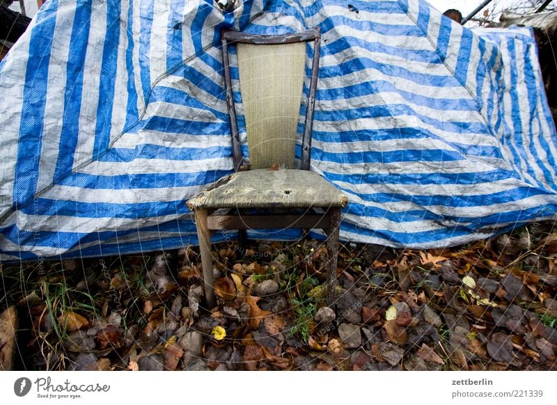 Stuhl Möbel Sessel Natur Herbst Wiese alt trashig Sperrmüll Streifen Abdeckung Herbstlaub Sichtschutz Müll entsorgen Blatt Sitzgelegenheit Polster Thron Mitte