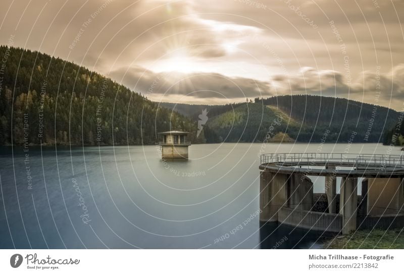 Abendsonne über der Talsperre Trinkwasser Umwelt Natur Landschaft Wasser Himmel Wolken Sonne Sonnenaufgang Sonnenuntergang Sonnenlicht Schönes Wetter Pflanze