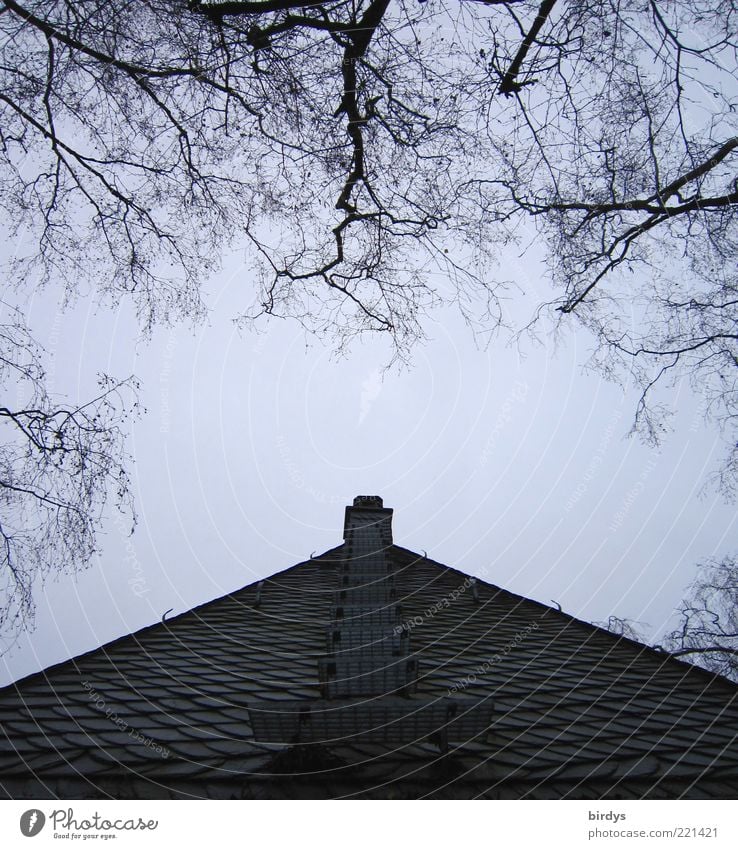 Stairway to chimney Gebäude Dach Schornstein außergewöhnlich Spitze ästhetisch Ordnung Symmetrie Treppe aufsteigen Himmel Baum Pyramide Schiefer beeindruckend