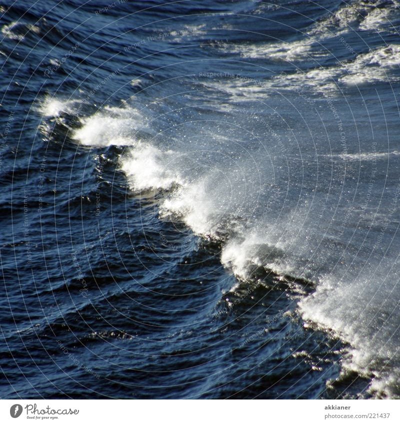 Welle Umwelt Natur Urelemente Wasser Wassertropfen Wellen Ostsee Meer hell nass natürlich wild blau Gischt Farbfoto mehrfarbig Außenaufnahme Menschenleer Tag