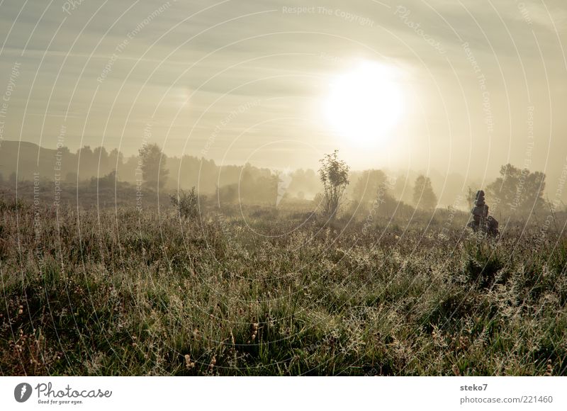 viel zu früh Natur Landschaft Wassertropfen Gras Wiese ästhetisch ruhig Schottland Tau Flußauen Gedeckte Farben Menschenleer Morgendämmerung Sonne