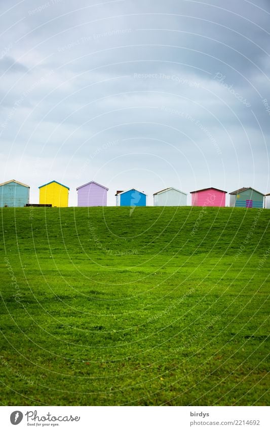 viele bunte Strandhütten an englands Küste auf einem grünen Deich. Wiese Ferien & Urlaub & Reisen Häusliches Leben Strandhaus typisch englisch Sommerurlaub