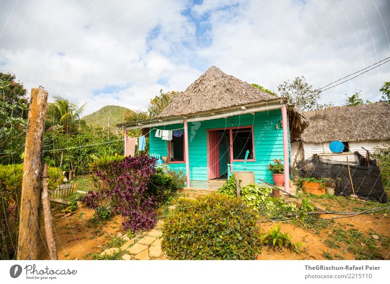 Vinales (Kuba) Umwelt Natur Dorf blau grün türkis mehrfarbig Leben Haus Hütte Strohdach simpel Domizil Wäscheleine Sträucher Valle de Viñales Tür Fenster