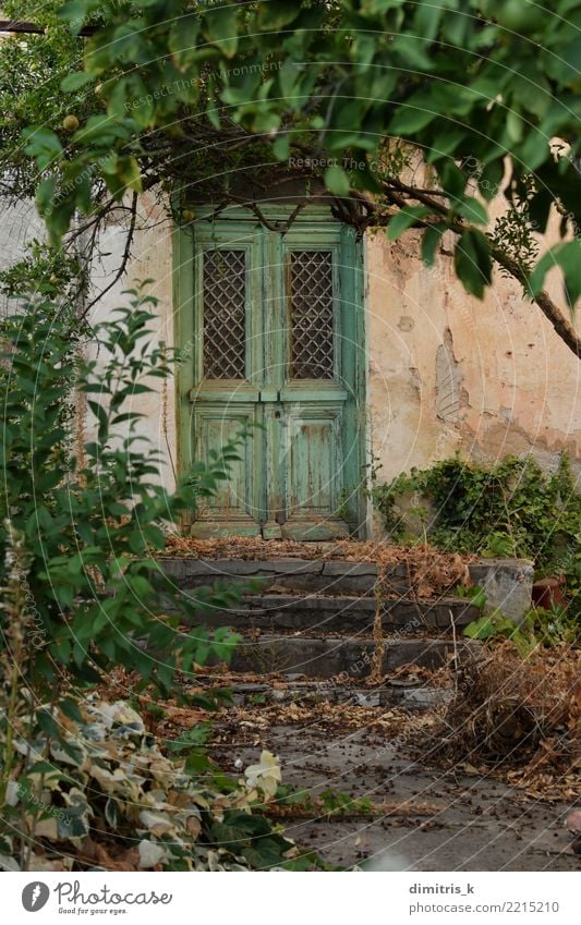 grüne Tür überwucherten Pflanzen Haus Garten Baum Blatt Ruine Architektur Holz alt retro Stimmung Tradition üppig (Wuchs) Verlassen bewachsen Freitreppe Veranda