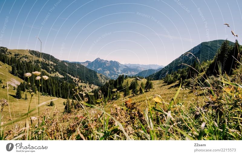 richtung sudelfeld Berge u. Gebirge wandern Umwelt Natur Landschaft Sommer Schönes Wetter Gras Wiese Alpen Gipfel Ferne gigantisch hoch natürlich blau grün