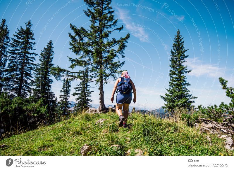 Frau beim Wandern in Bayern wandern feminin Junge Frau Jugendliche 18-30 Jahre Erwachsene Natur Landschaft Himmel Sommer Baum Wiese Rucksack Erholung gehen