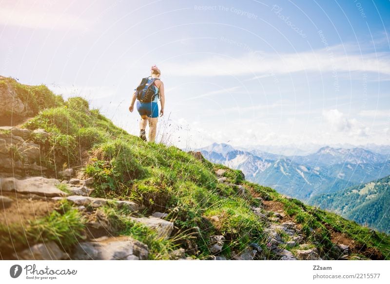 lieblingsplatzerl Ferien & Urlaub & Reisen Abenteuer Berge u. Gebirge wandern Junge Frau Jugendliche 18-30 Jahre Erwachsene Natur Landschaft Sonnenlicht Sommer