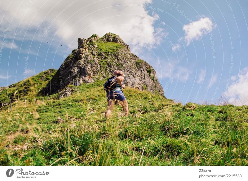 Aufstieg auf die oberbayerische Rotwand (Alpen) wandern Junge Frau Jugendliche 18-30 Jahre Erwachsene Natur Landschaft Himmel Sommer Schönes Wetter