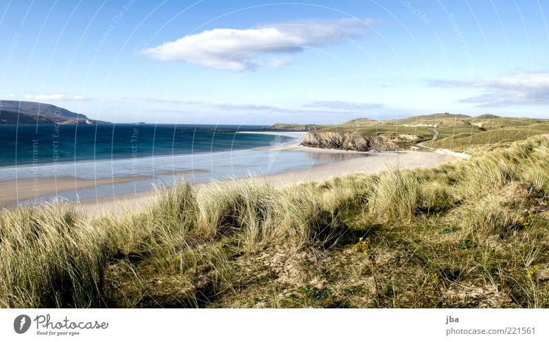 Düne {N4} Wohlgefühl Zufriedenheit Ferien & Urlaub & Reisen Ausflug Ferne Freiheit Sommer Sommerurlaub Strand Meer Natur Landschaft Sand Schönes Wetter Wind