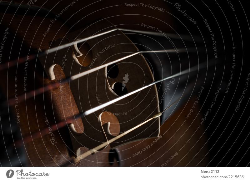 Geige 09 Kunst Musik Musik hören Konzert Open Air Bühne Oper Band Musiker Orchester Gefühle Stimmung Freude Lebensfreude Vorfreude Begeisterung Erfolg Kraft