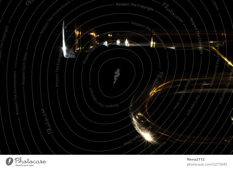 Trompete 03 Kunst Musik Musik hören Konzert Open Air Bühne Band Musiker Orchester Gefühle Stimmung Freude Lebensfreude Euphorie Optimismus Erfolg Kraft