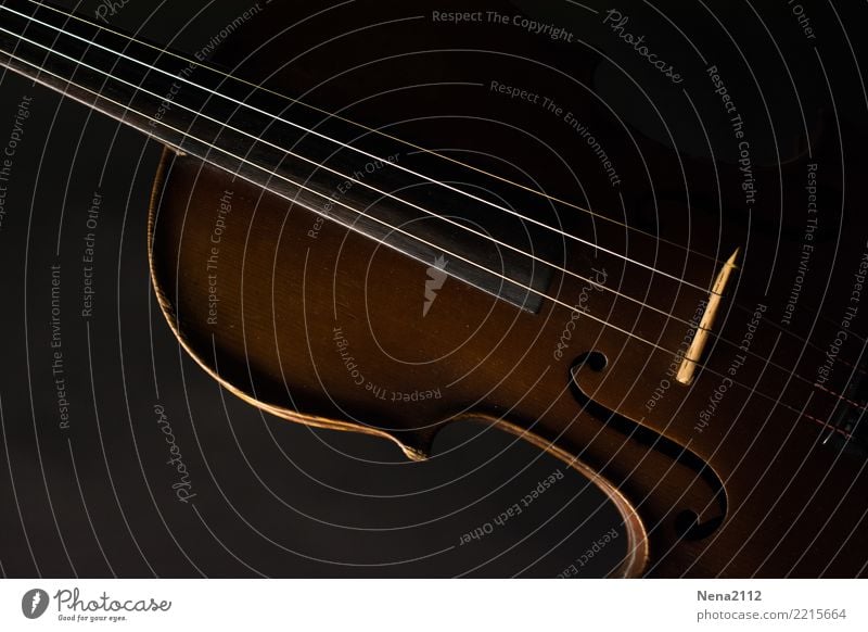 Geige 06 Kunst Musik Musik hören Konzert Open Air Bühne Oper Band Musiker Orchester Spielen Cello Holz Bratsche Saiteninstrumente Streichinstrumente klassisch