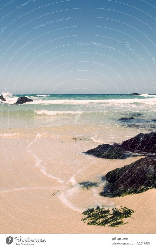 unyielding Umwelt Natur Landschaft Urelemente Sand Wasser Himmel Wolkenloser Himmel Klima Wetter Schönes Wetter Wellen Küste Meer Insel natürlich Algen Stein