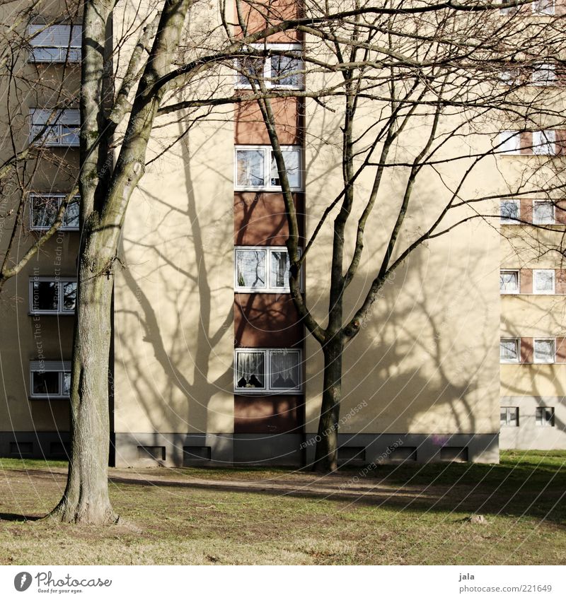 block Herbst Pflanze Baum Gras Wiese Haus Hochhaus Bauwerk Gebäude Architektur Fassade Fenster trist Farbfoto Außenaufnahme Menschenleer Tag Licht Schatten