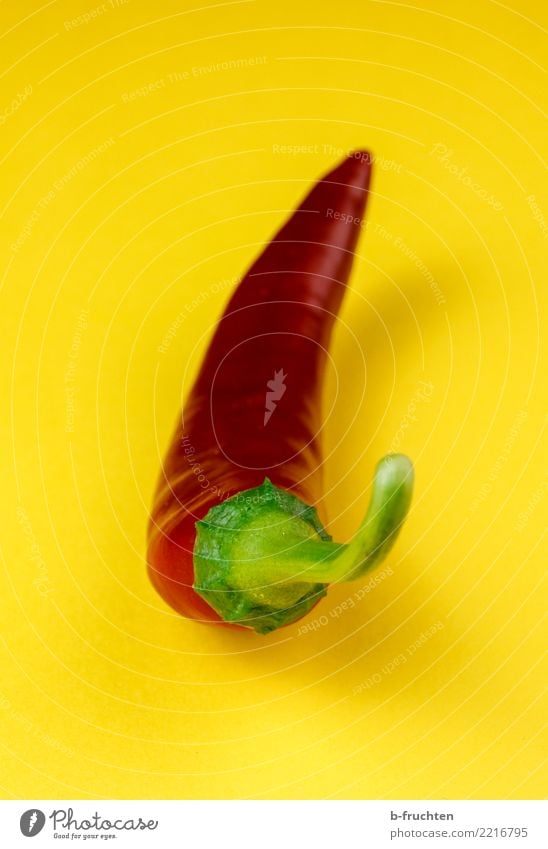 Scharfe Sache Gemüse liegen Gesundheit Spitze gelb rot Pfefferoni Peperoni Scharfer Geschmack Würzig Paprika reif Ernte Innenaufnahme Studioaufnahme Nahaufnahme