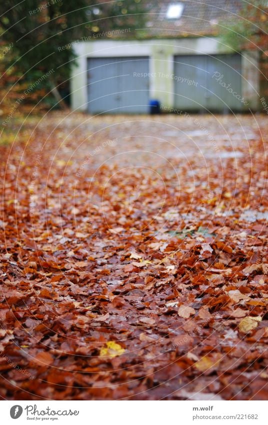 ...im Herbst Haus Garage Garagentor Natur Wetter schlechtes Wetter Blatt Deutschland Menschenleer Mauer Wand Fassade Dach alt dreckig hässlich kalt kaputt