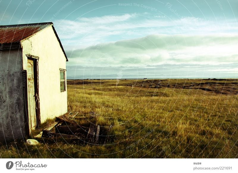 Haus Ferne Freiheit Natur Landschaft Himmel Wolken Horizont Wiese Menschenleer Hütte Ruine Fassade Fenster Tür alt Einsamkeit Verfall Vergangenheit