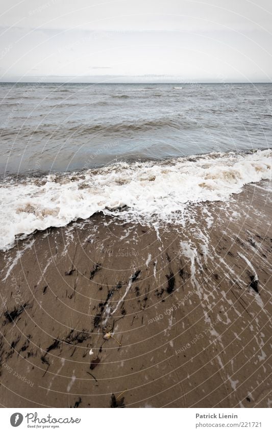 Lack of color Umwelt Natur Urelemente Sand Luft Wasser Himmel Herbst Klima Wetter schlechtes Wetter Wind Wellen Küste Strand Ostsee Meer Blick bedrohlich dunkel