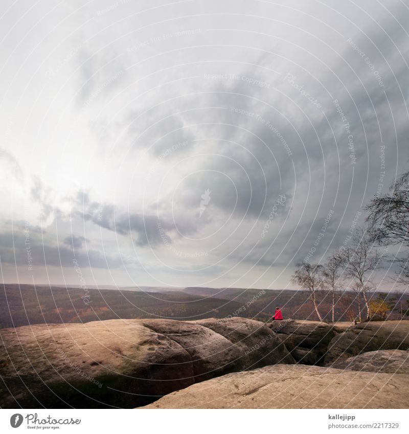 pfaffensteinview Mensch feminin 1 Umwelt Natur Landschaft Pflanze Tier Herbst Wald Felsen Gipfel Jacke Blick Elbsandsteingebirge Sachsen Deutschland wandern