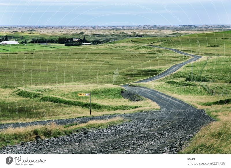 Weg Ferne Meer Natur Landschaft Wiese Küste Straße Wege & Pfade fahren grün Ziel Island Zickzack Kurve Umweg Farbfoto Gedeckte Farben Außenaufnahme Menschenleer