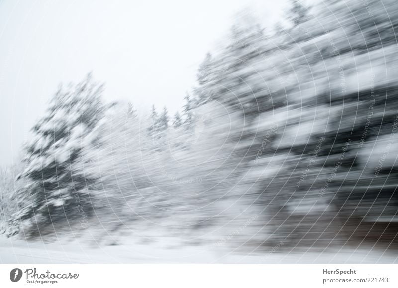 Wwwwschsch Natur Landschaft Winter schlechtes Wetter Eis Frost Schnee Baum Wald Geschwindigkeit grün weiß Winterwald Schneelandschaft Schneesturm Autofahren