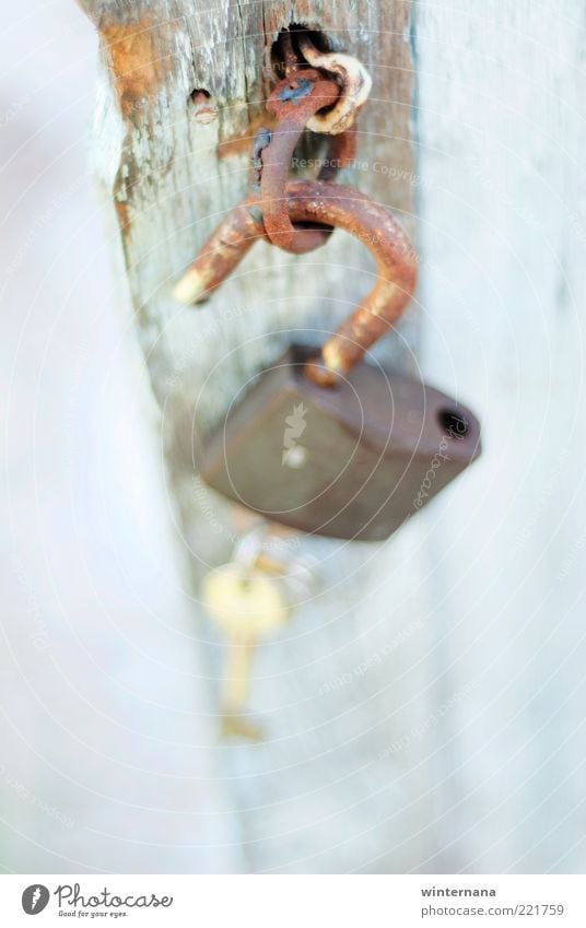 Schlüssel zu meinem Herzen Holz Metall Schloss Glück Ehre Tapferkeit Coolness Optimismus Kraft Mut Tatkraft Vertrauen Sicherheit Schutz Einigkeit loyal