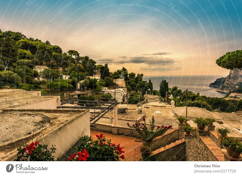 Sizilien taormina Umwelt Natur Landschaft Wolken Sonnenlicht Sommer Herbst Schönes Wetter Baum Blume Sträucher Garten Hügel Meer Insel Taormina Italien Dorf