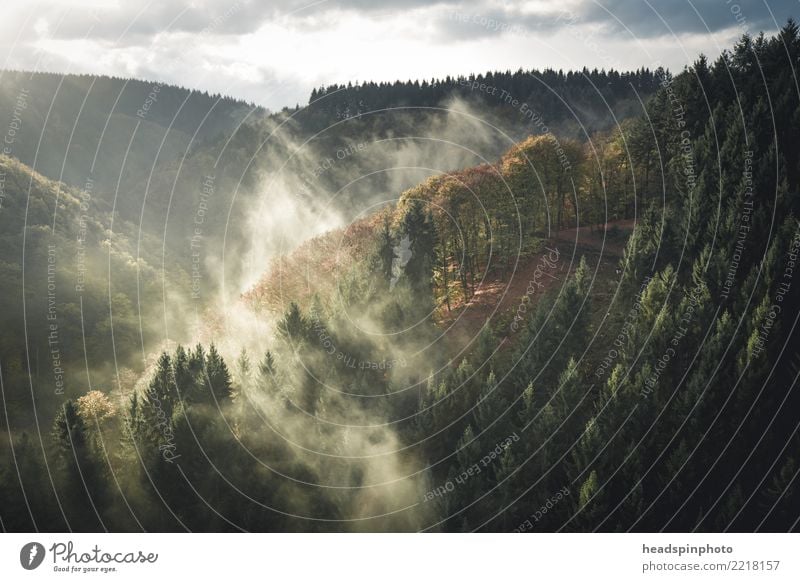 Herbstlandschaft mit Nebel bei Sonnenaufgang Umwelt Natur Landschaft Sonnenuntergang Wald Berge u. Gebirge laufen wandern Abenteuer Einsamkeit entdecken