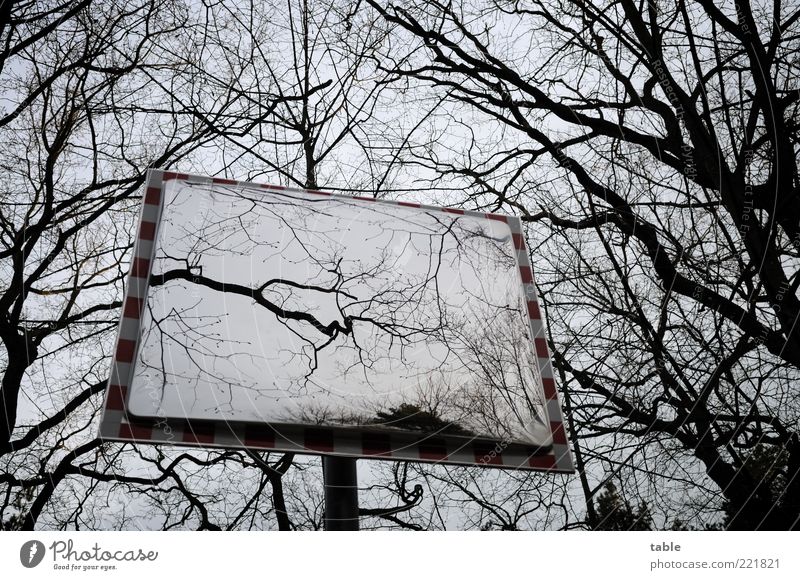 nichts ist wie es scheint... Umwelt Natur Himmel Herbst Winter Baum Spiegel Holz Glas Metall dunkel eckig kalt grau schwarz Gefühle ruhig bizarr Endzeitstimmung