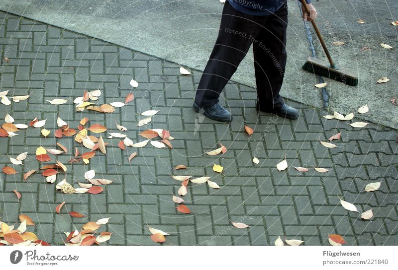 Darf ich Sie bekehren? alt nachhaltig Tatkraft Langeweile Kehren Besen Besenstiel Blatt Beton Reinigen dreckig Herbst herbstlich Herbstwetter Herbstbeginn