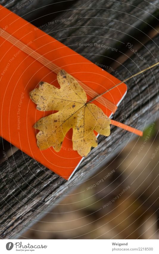 Notizblatt Zufriedenheit ruhig Meditation Schreibwaren Papier gelb orange Treue Mitgefühl Hoffnung Traurigkeit Sorge Trauer Tod Herbst Blatt Notizbuch