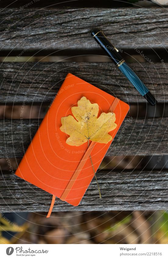 Erinnerung Schreibwaren Papier Zettel Schreibstift schreiben frei gelb orange achtsam vernünftig Weisheit klug Traurigkeit Sorge Trauer Tod Herbst Notizbuch