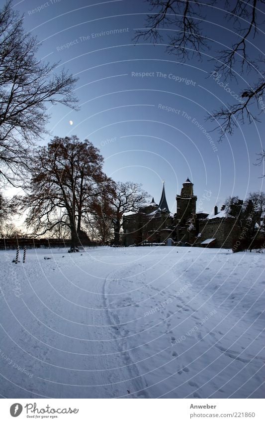 Tanz der Vampire Umwelt Natur Wolkenloser Himmel Mond Winter Wetter Eis Frost Schnee Baum Park Kassel Hessen Deutschland Europa Menschenleer Haus