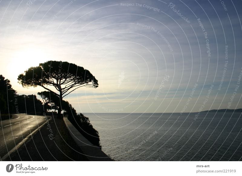 Côte d'Azur - Küstenstraße Sonnenlicht Meer schön Cote d'Azur Saint Tropez Mittelmeer Südfrankreich Massif des Maures Département Var Silhouette Kurve Farbfoto