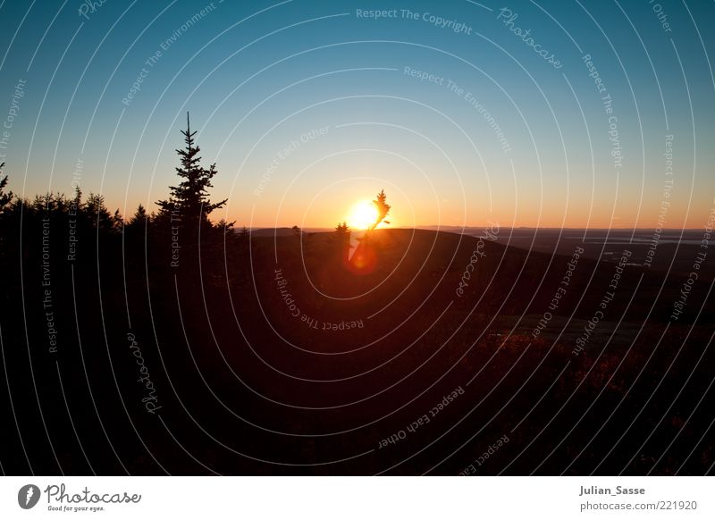 Blau-Orange Umwelt Natur Landschaft Pflanze Urelemente Erde Luft Himmel Wolkenloser Himmel Horizont Sonnenaufgang Sonnenuntergang Sonnenlicht Herbst Wetter