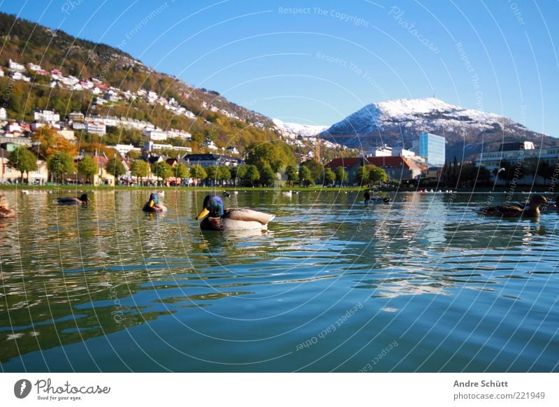 Bergen · Norwegen (2) Ferien & Urlaub & Reisen Tourismus Berge u. Gebirge Landschaft Luft Wasser Wolkenloser Himmel Winter Schönes Wetter Schneebedeckte Gipfel