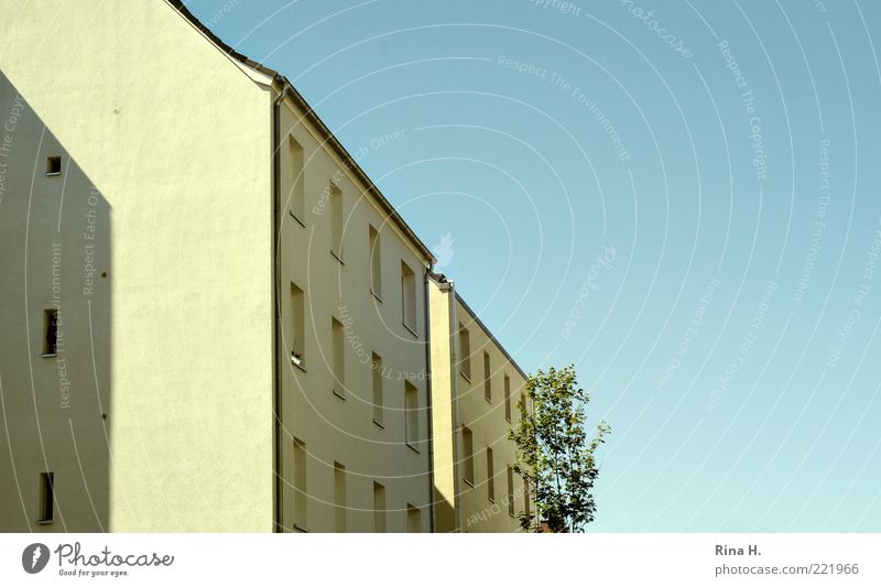 Hamburger Immobilien Himmel Sommer Schönes Wetter Baum Stadt Haus Gebäude Architektur blau gelb Wohnung Plattenbau Farbfoto Außenaufnahme Menschenleer