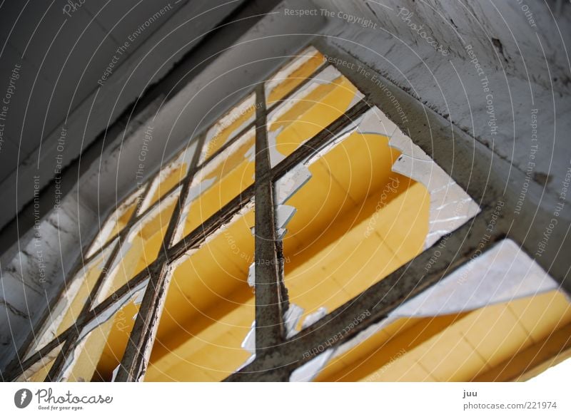 durchblick Raum Stadtrand Fabrik Ruine Gebäude Mauer Wand Fassade Fenster Beton Glas Metall Aggression bedrohlich dreckig dunkel kaputt rebellisch gelb grau