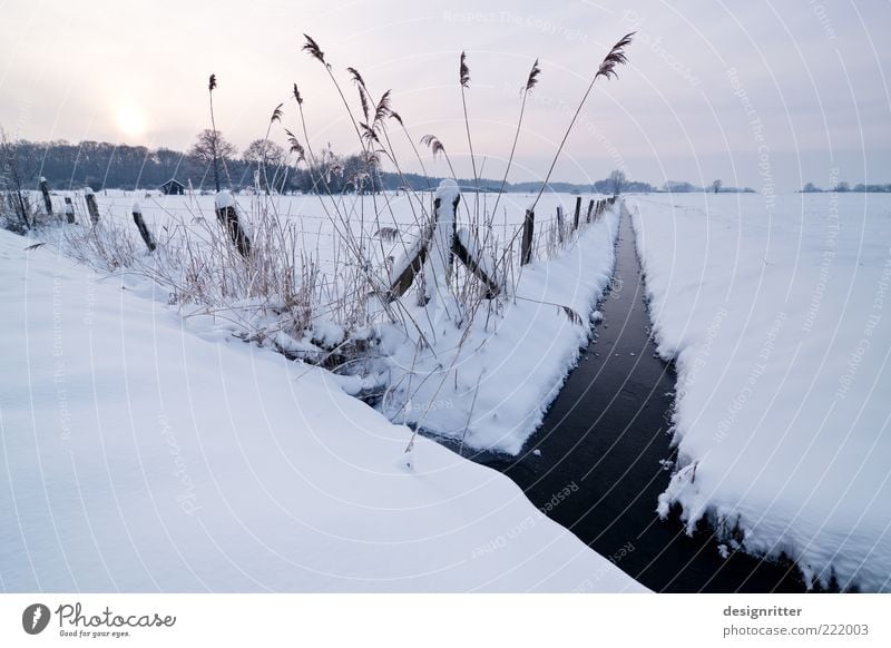 kuschelig Horizont Sonne Sonnenaufgang Sonnenuntergang Winter Klima Wetter Eis Frost Schnee Bach Wassergraben Kanal kalt Farbfoto Außenaufnahme Menschenleer