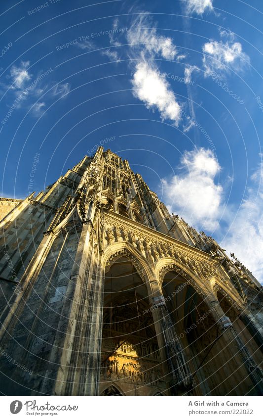 Ulmer Münster LT14.11 Altstadt Kirche Dom Turm Bauwerk Gebäude Architektur Fassade Sehenswürdigkeit Wahrzeichen Stein alt historisch nachhaltig Christentum