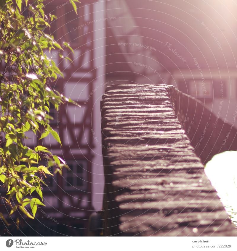 Altstadt Romantik (LT Ulm 14.11.10) Kleinstadt Menschenleer braun grün Mauer Fachwerkfassade Fachwerkhaus Gegenlicht Brücke charmant Warmes Licht Farbfoto